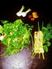 La recette de la semaine : Brie pané aux noisettes et salades d’herbes aromatiques