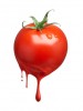 Tout savoir sur les additifs alimentaires