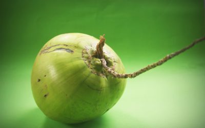 Les vertus et les dangers de la cuisine à l’huile de coco