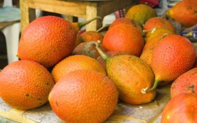 Nouveau super-fruit à l’étalage : le gac