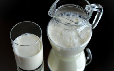 Lait de chameau : nouvelle mode alimentaire made in USA