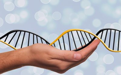 Le régime ADN : la technique qui exploite votre code génétique pour mincir