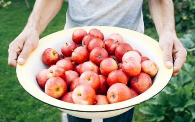 Quand l’obsession de la qualité devient un trouble alimentaire