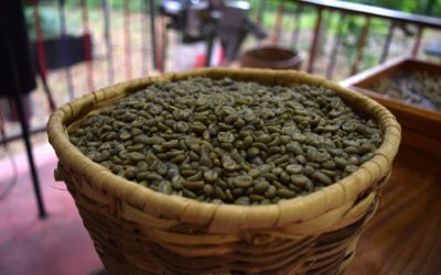 Huile essentielle de café : un puissant allié pour votre santé