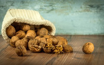 Mini-guide pratique des noix