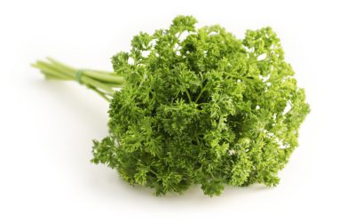Thé au persil : la botte secrète contre les jambes gonflées
