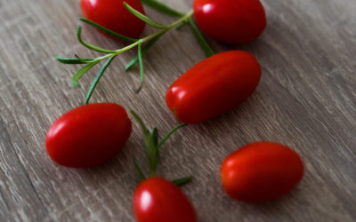Tomates bio, plus riches en nutriments