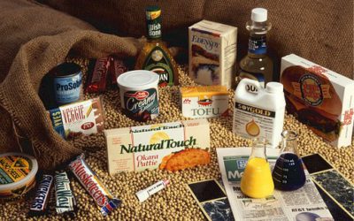 Le soja permettrait d’augmenter les chances de survie du cancer du sein