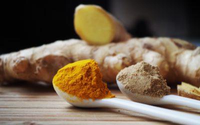 Les 10 aliments anti-allergie aux pollens