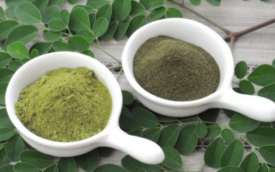L’arbre de Moringa- THE plante miracle