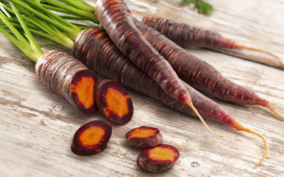 La carotte violette : une source de santé à redécouvrir