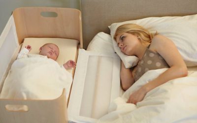 Le co-dodo : bonne ou mauvais idée ?