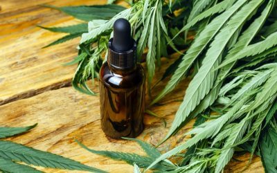 La fleur de CBD, quels en sont les effets ?