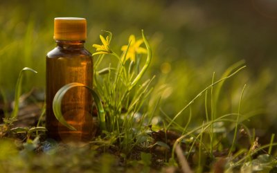 6 choses à savoir sur les traitements naturels pour les douleurs articulaires