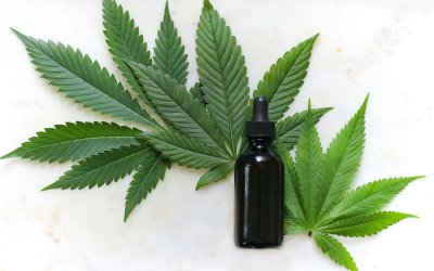 Tout savoir sur la résine de CBD