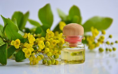 Comment l’Huile Essentielle peut Aider à Calmer le Mental