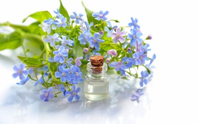 Comment l’huile essentielle peut aider à faire baisser le cortisol ?