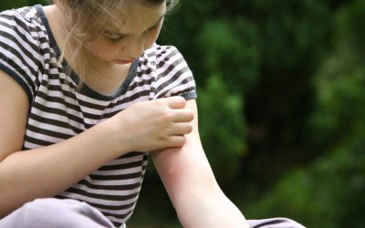 Les 3 meilleurs stylos anti piqures de moustiques